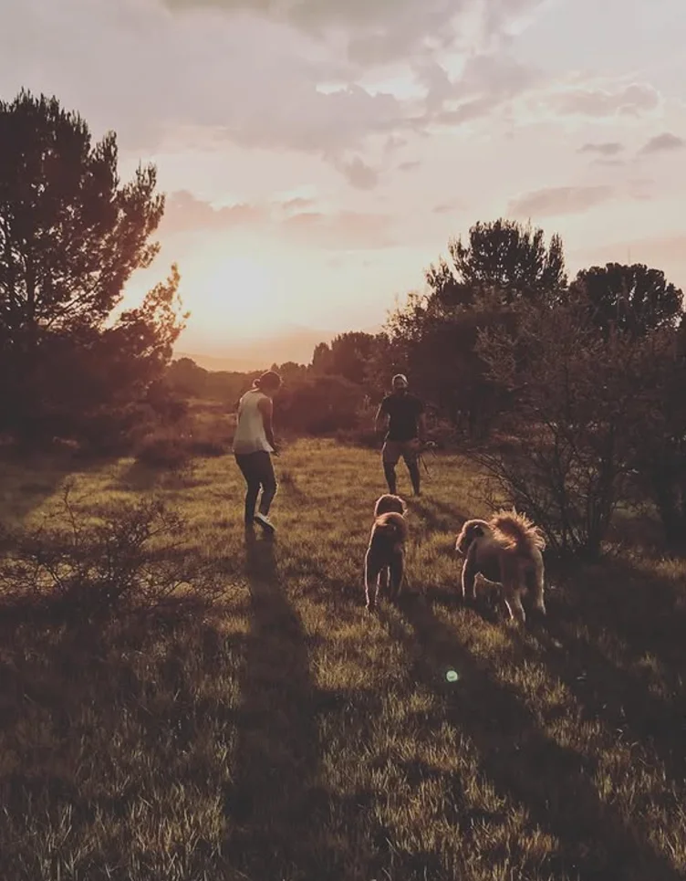 A sunset walk with our two dogs