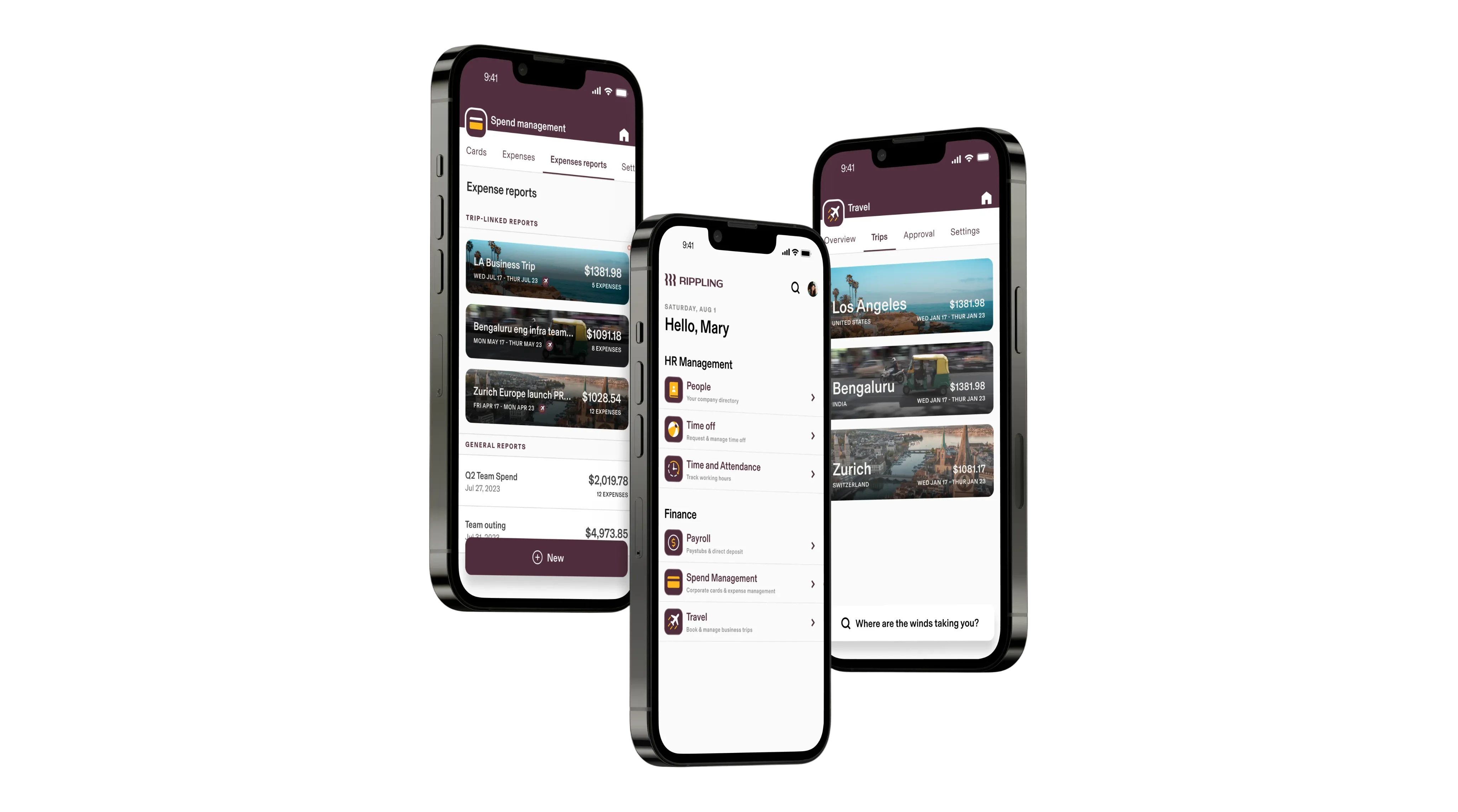Spend and Travel trip-linked report overview