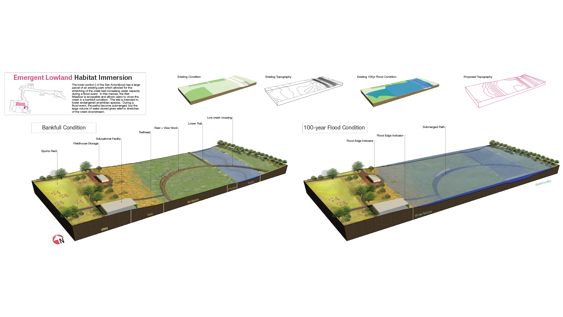 Emergent Lowland habitat immersion: at bankfull, a sports field, an educational facility, a trailhead, a rest and view nook, a lower trail and a low creek crossing; in a 100-year flood, the paths submerged